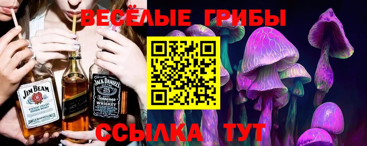 Псилоцибиновые грибы GOLDEN TEACHER Майкоп