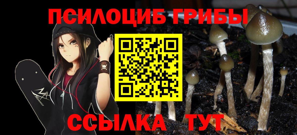 Псилоцибиновые грибы MAGIC MUSHROOMS  Вход с VPN  Майкоп  Галлюциногенные грибы MAGIC MUSHROOMS 